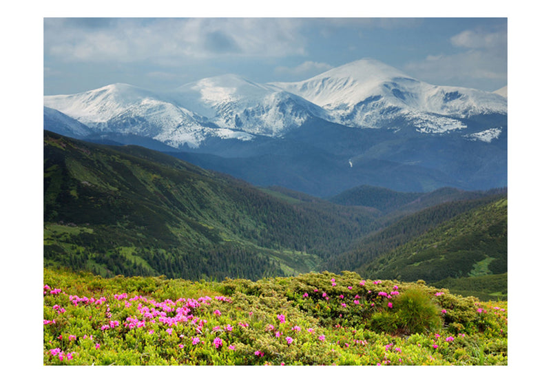 Fototapetes - Pavasara kalnu ainava