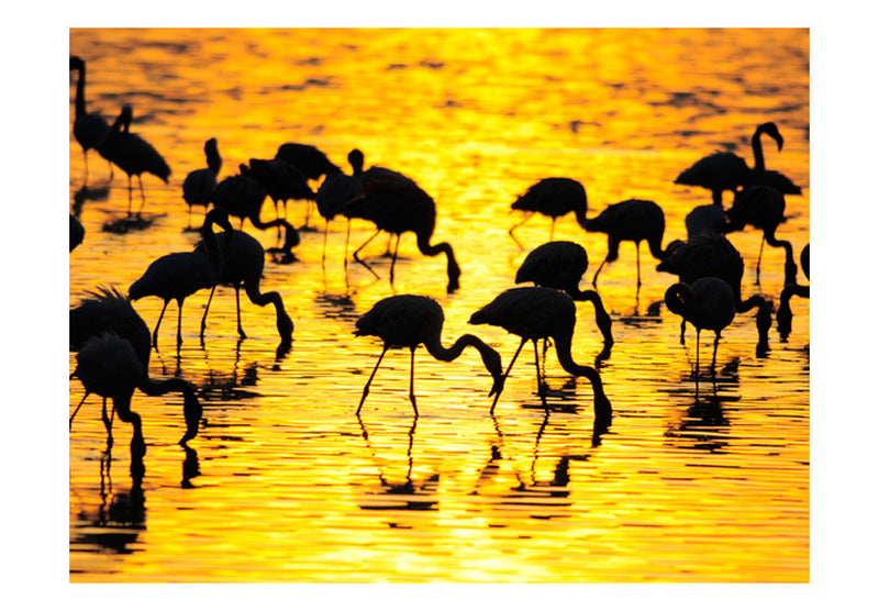 Fototapetes - Kenija flamingo pie Nakuru ezera