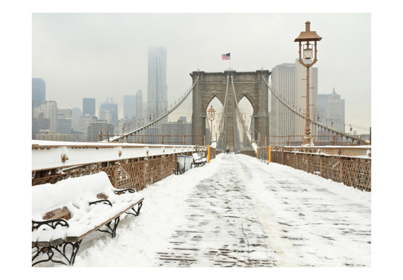 Fototapetes - Sniegotais tilts Ņujorkā