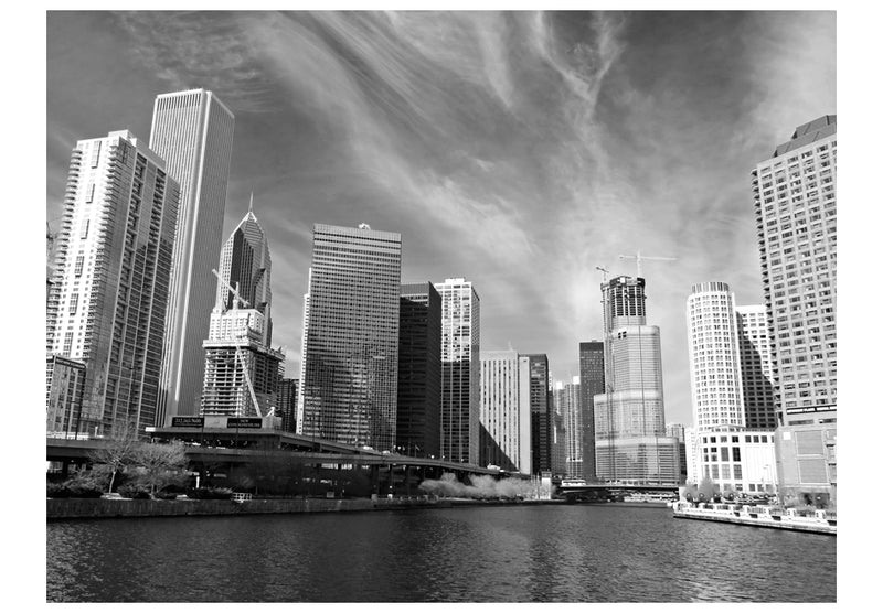 Fototapetes - Čikāgas panorāma (melnbaltā krāsā)