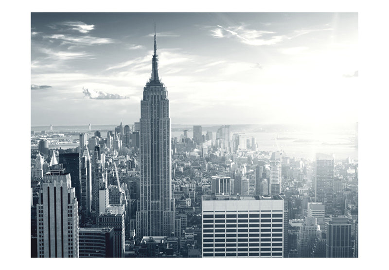 Fototapetes - Apbrīnojams skats uz Ņujorkas Manhetenas rajonu saullēktā