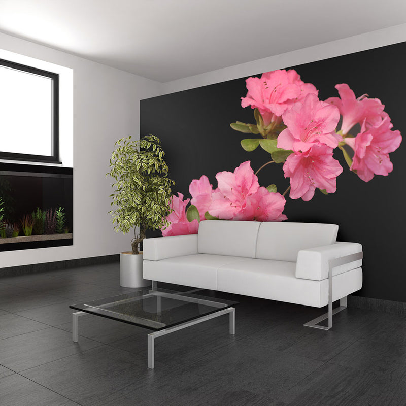 Fototapetes ar ziediem - Azāleja melnā krāsā
