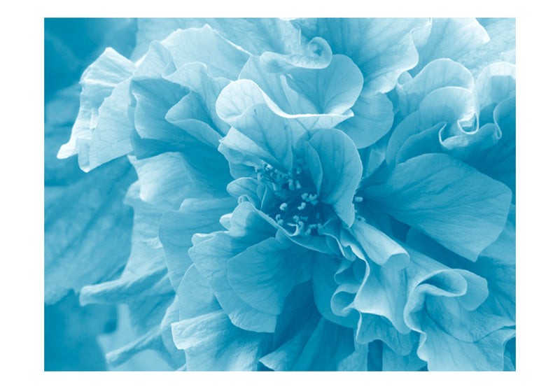Fototapetes ar ziediem - Zilā azāleja