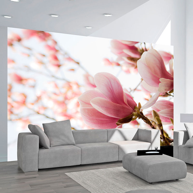 Fototapetes ar ziediem - Rozā magnolija