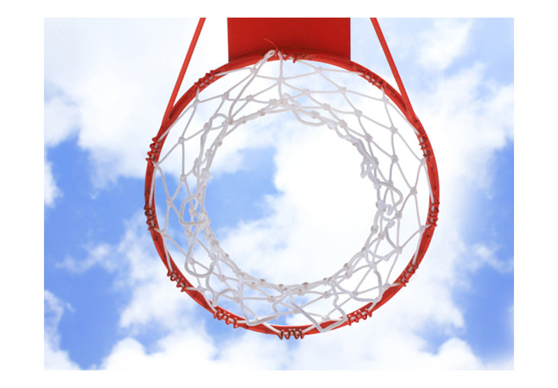 Fototapetes - Basketbols
