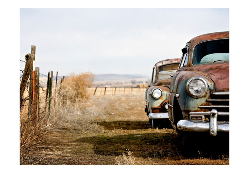 Fototapetes - Divas vecas, amerikāņu automašīnas