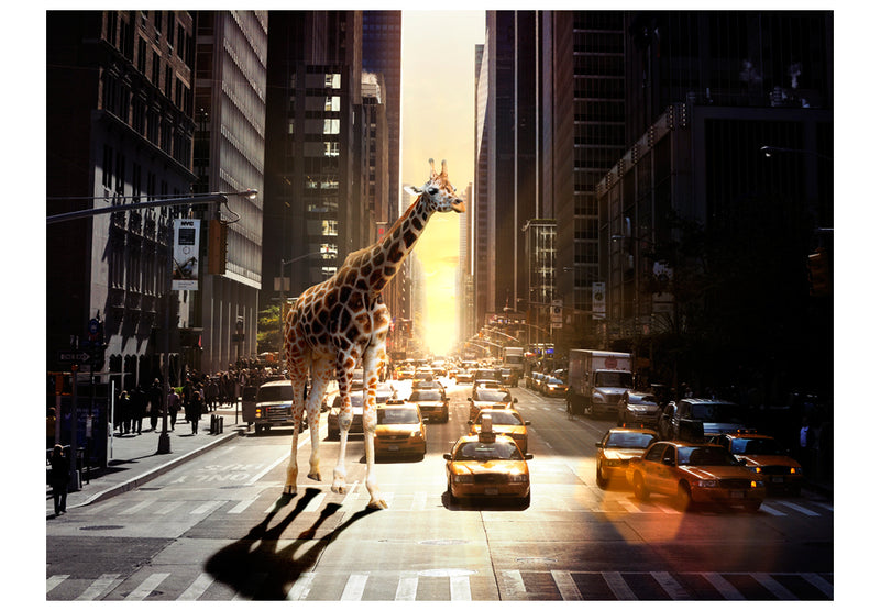 Fototapetes - Žirafe lielpilsētā