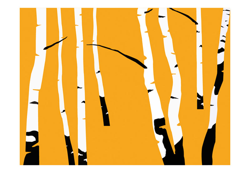 Fototapetes ar meža skatu - Bērzi uz oranžā fona