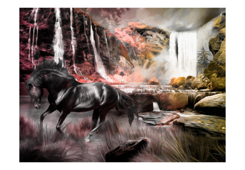 Fototapetes ar mežu - Melns zirgs pie ūdenskrituma