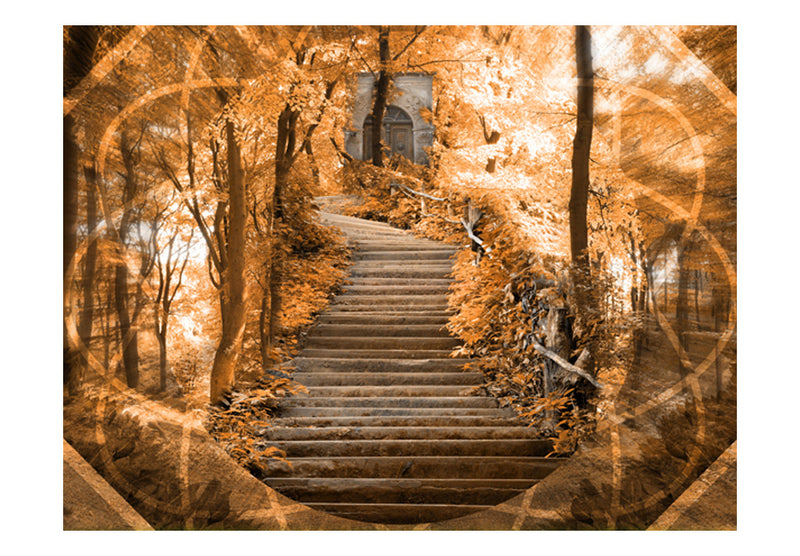 Fototapetes ar meža skatu - Kāpnes uz paradīzi