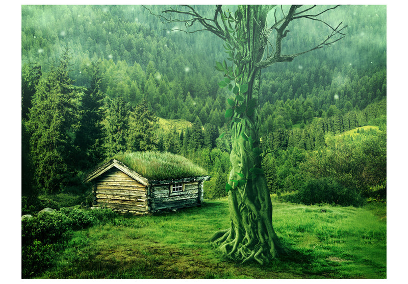 Fototapetes ar meža skatu - Zaļā vientulība