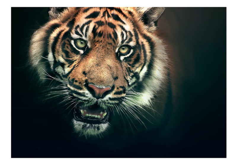 Fototapetes - Bengālijas tīģeris
