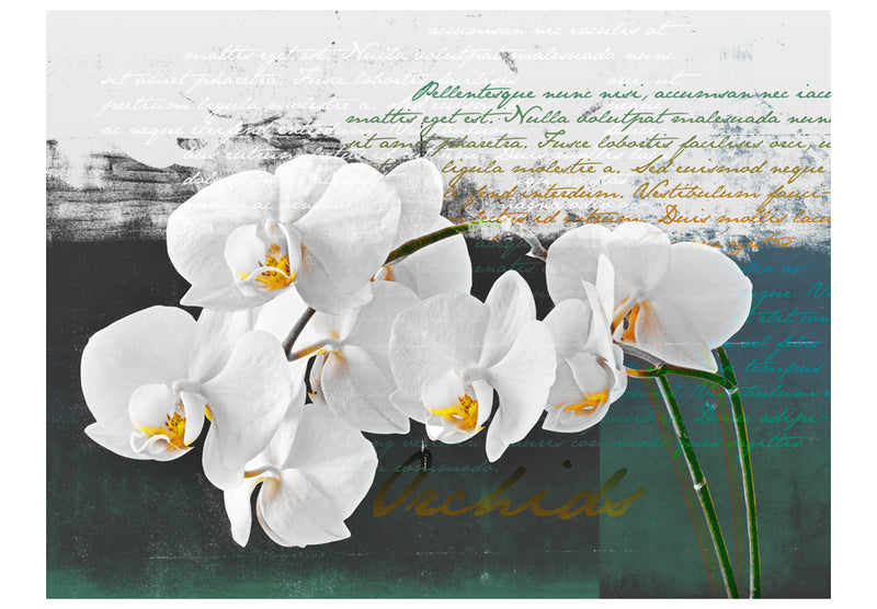 Fototapetes ar ziediem - Orhideja - dzejnieka iedvesma