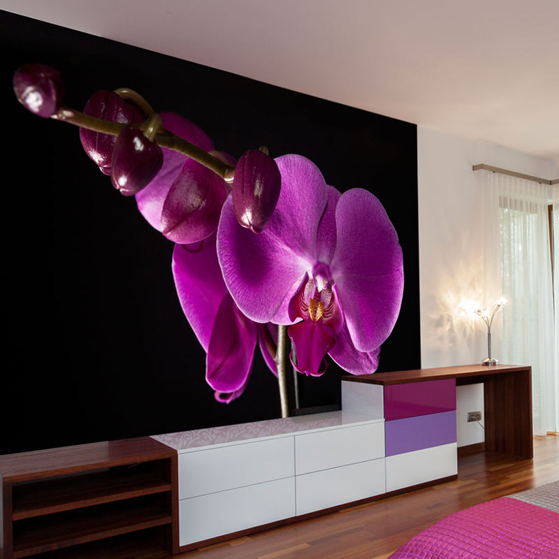Fototapetes ar ziediem - eleganta orhideja