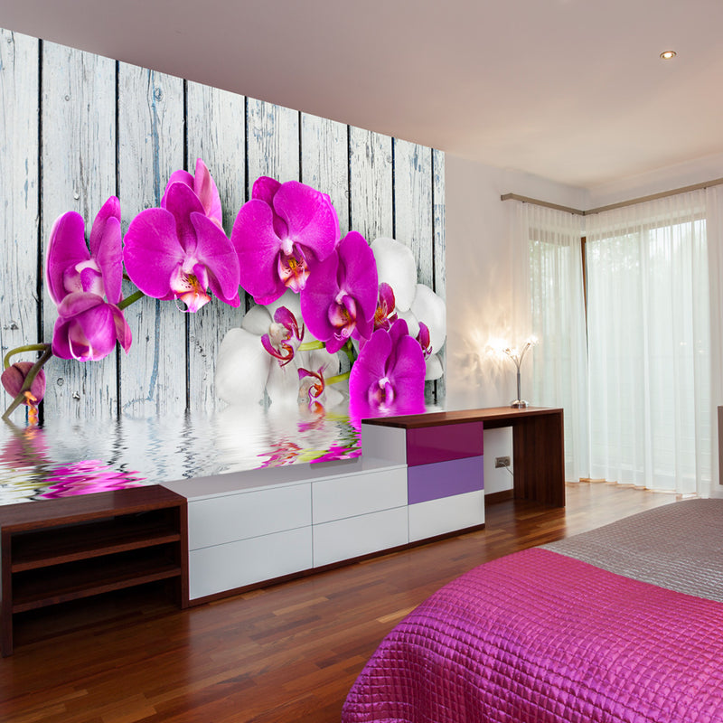 Fototapetes ar ziediem - Violetās orhidejas ar ūdens atspulgu