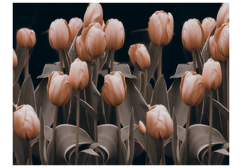 Fototapetes ar ziediem - Dāmas starp ziediem