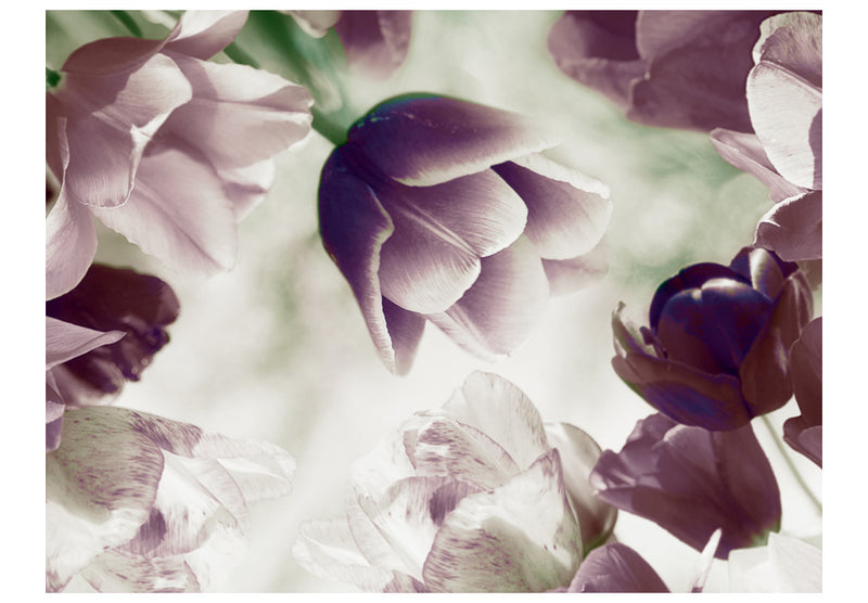 Fototapetes ar ziediem - Debesu tulpes