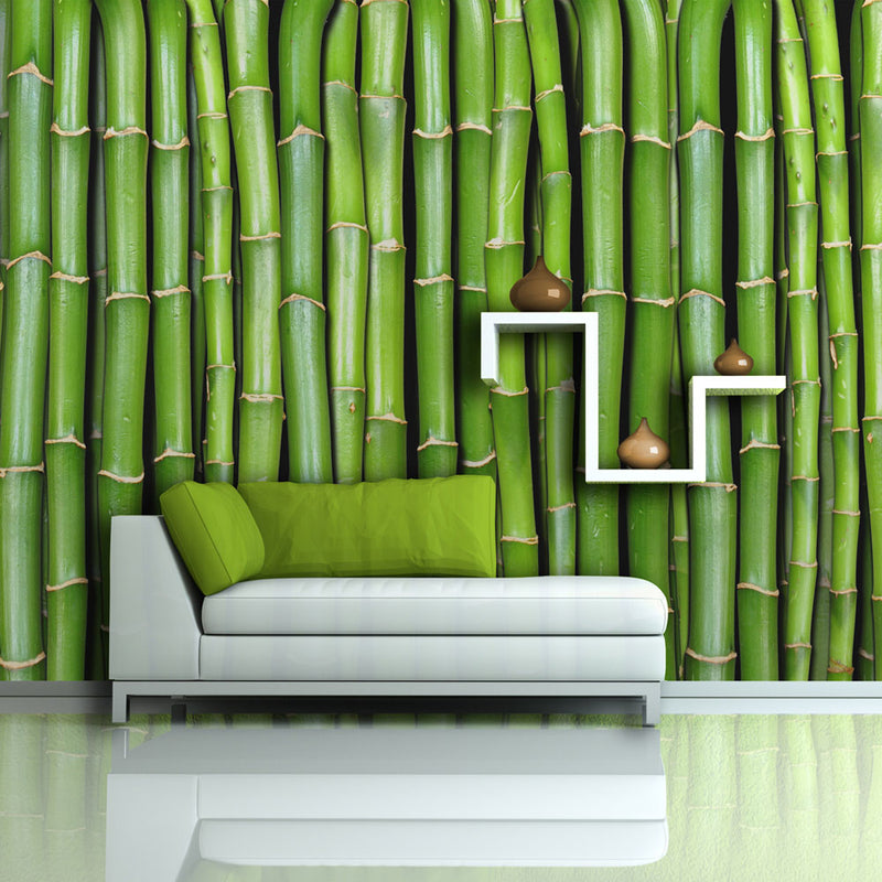 Fototapetes - Bambusa siena