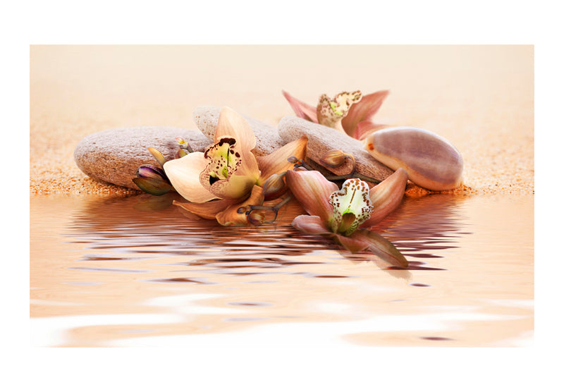 Fototapetes ar ziediem - Pludmale - ūdens lilija