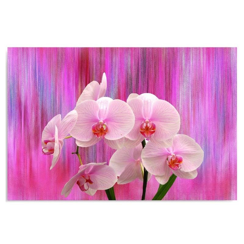 Dekoratīvais panelis - Orchids 11 