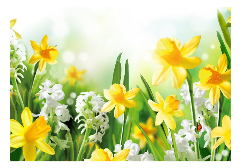 Fototapetes ar ziediem - Pavasara pastaiga