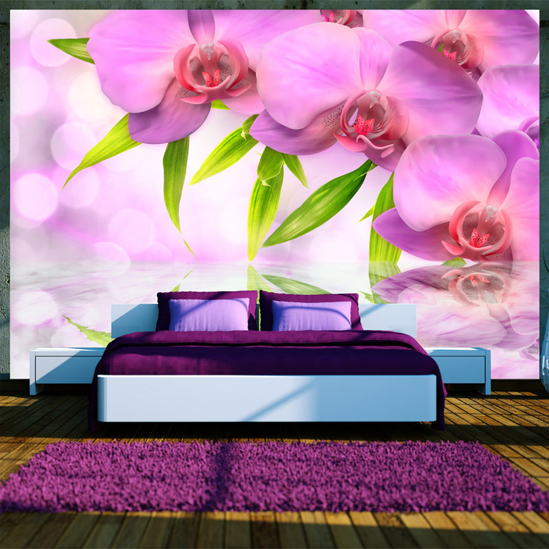 Fototapetes ar ziediem - Orhidejas ceriņkrāsā