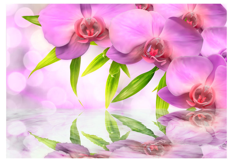 Fototapetes ar ziediem - Orhidejas ceriņkrāsā