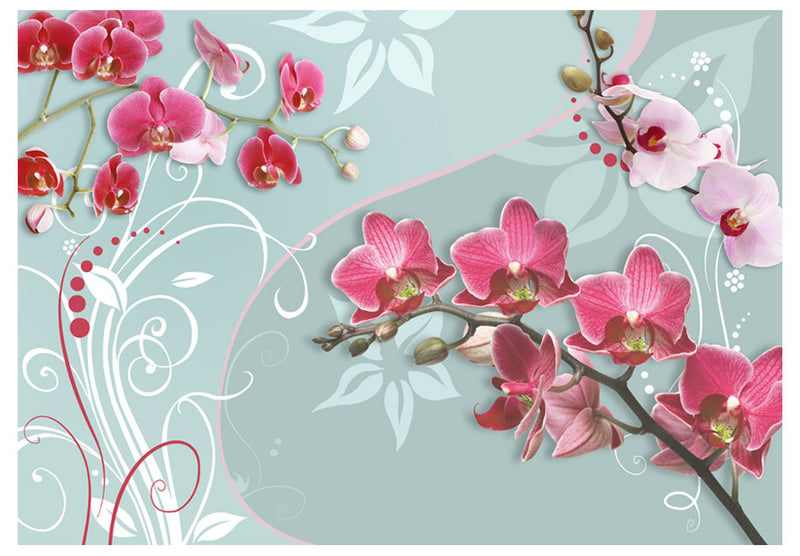 Fototapetes ar ziediem - Rozā orhidejas - variācija II