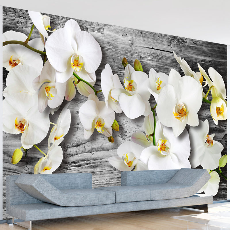 Fototapetes ar ziediem - Bezkaislīgās orhidejas III