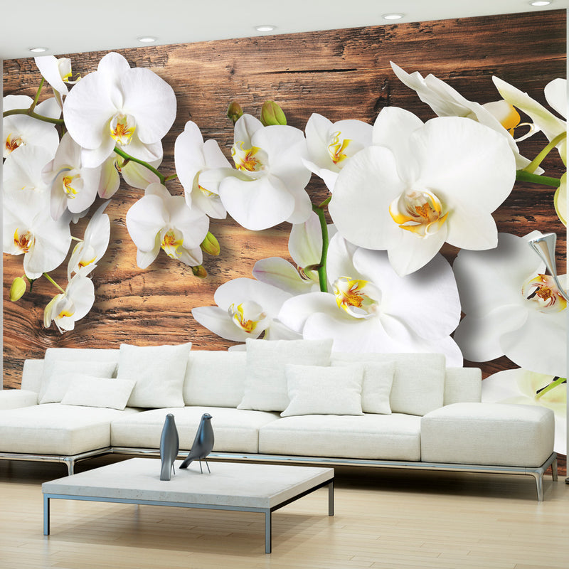 Fototapetes ar ziediem - Meža orhideja