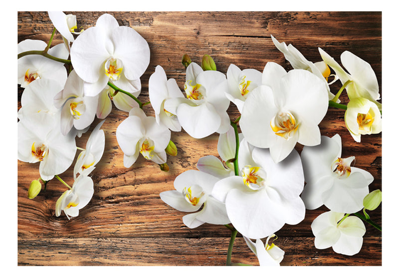 Fototapetes ar ziediem - Meža orhideja