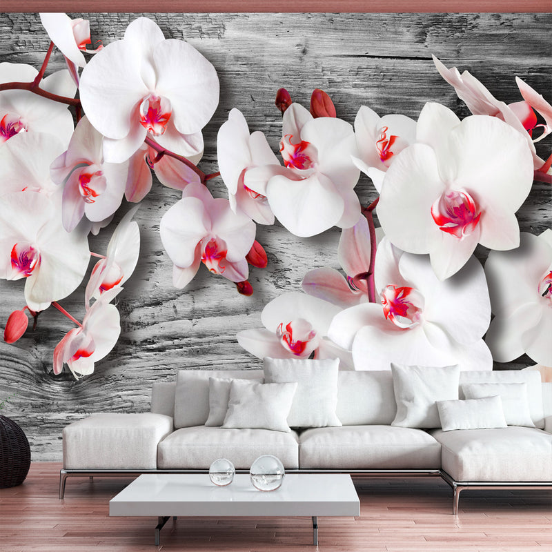 Fototapetes ar ziediem - Kalsnās orhidejas
