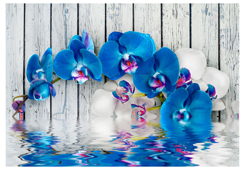 Fototapetes ar ziediem - Kobalta orhidejas