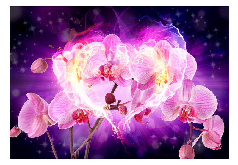 Fototapetes ar ziediem - Orhidejas liesmās
