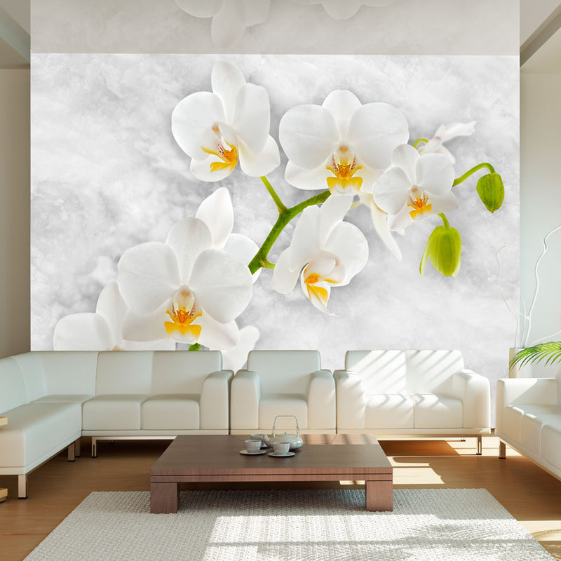 Fototapetes ar ziediem - Liriskā orhideja - balta
