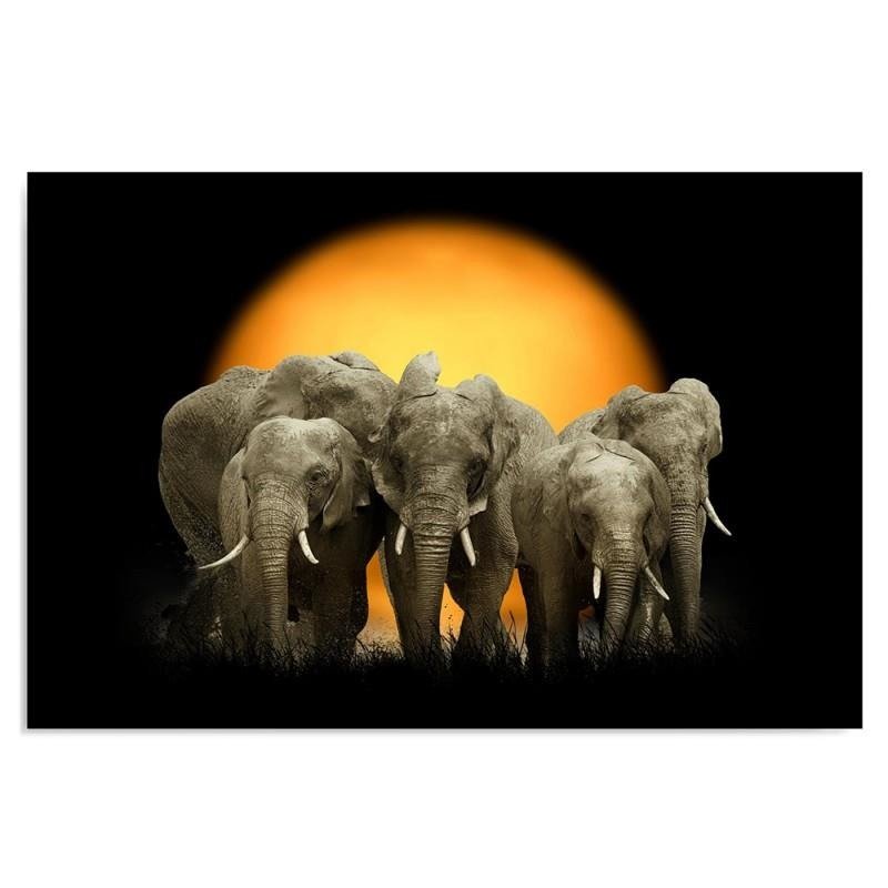 Dekoratīvais panelis - Elephants 1 