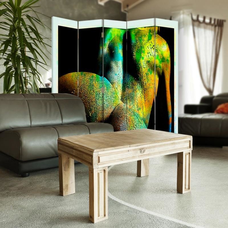 Aizslietnis, 5 paneļi, Divpusējs, 360 ° rotējošas eņģes, kanva, Abstract Act 