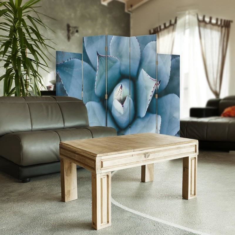 Decorative Aizslietnis, 5 paneļi, Divpusējs, 360 ° rotējošas eņģes, kanva, Agave 