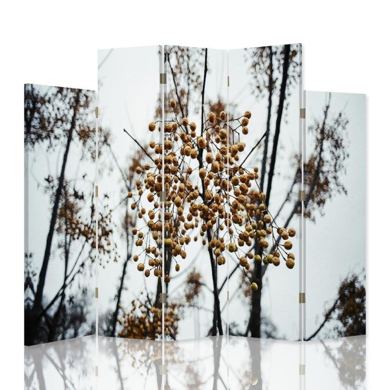 Decorative Aizslietnis, 5 paneļi, Divpusējs, 360 ° rotējošas eņģes, kanva, Fruit Trees 