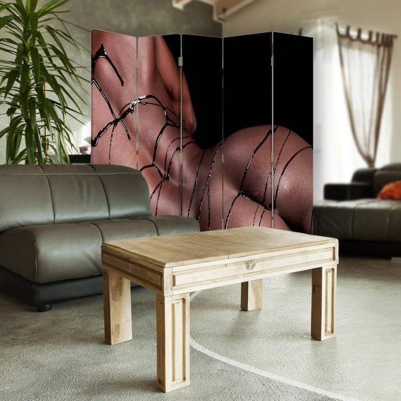 Aizslietnis, 5 paneļi, Divpusējs, 360 ° rotējošas eņģes, kanva, Woman With Chocolate 
