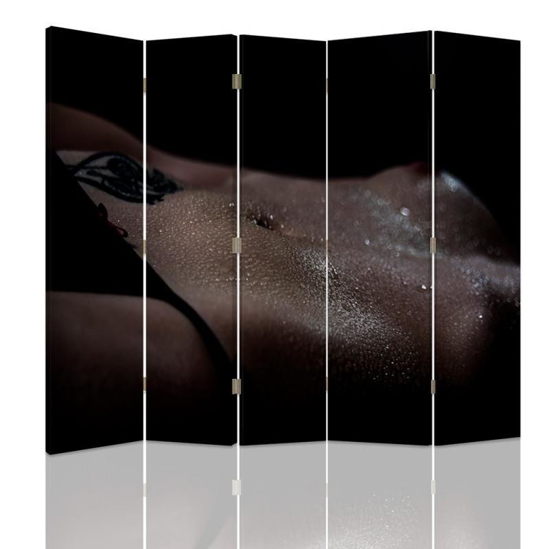 Aizslietnis, 5 paneļi, Divpusējs, 360 ° rotējošas eņģes, kanva, Naked Girl In The Shadows 