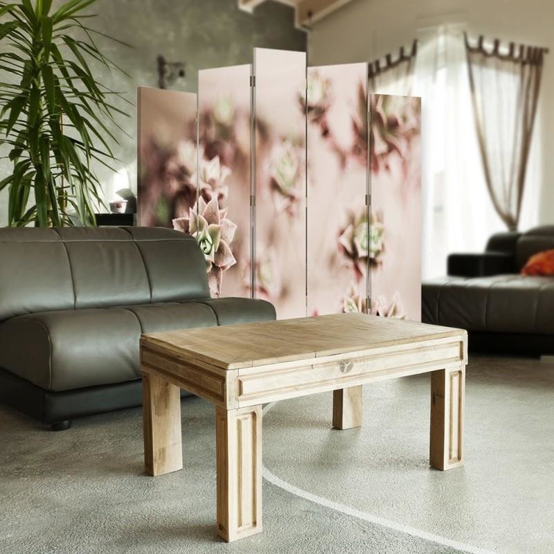 Decorative Aizslietnis, 5 paneļi, Divpusējs, 360 ° rotējošas eņģes, kanva, Sedum Naskalny 