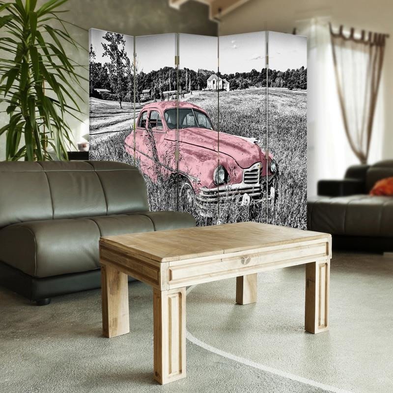 Aizslietnis, 5 paneļi, Divpusējs, 360 ° rotējošas eņģes, kanva, Pink Car In A Field 