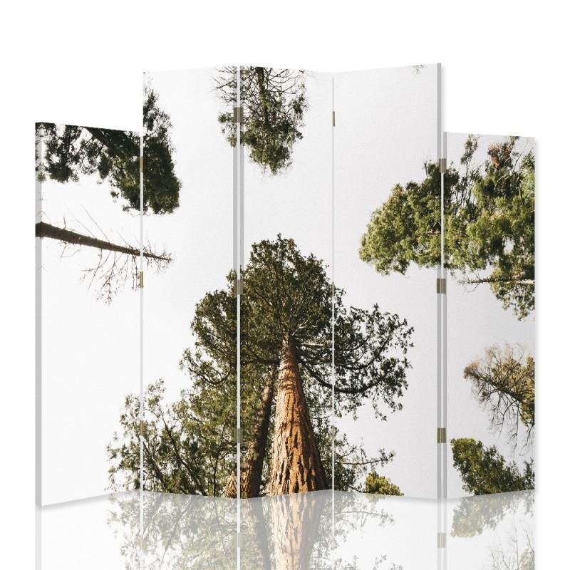 Decorative Aizslietnis, 5 paneļi, Divpusējs, 360 ° rotējošas eņģes, kanva, Pine In Perspective 