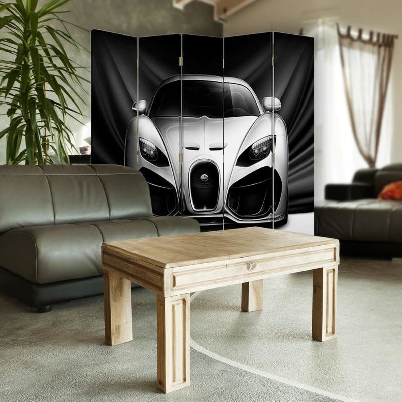 Aizslietnis, 5 paneļi, Divpusējs, 360 ° rotējošas eņģes, kanva, Sporty Car 