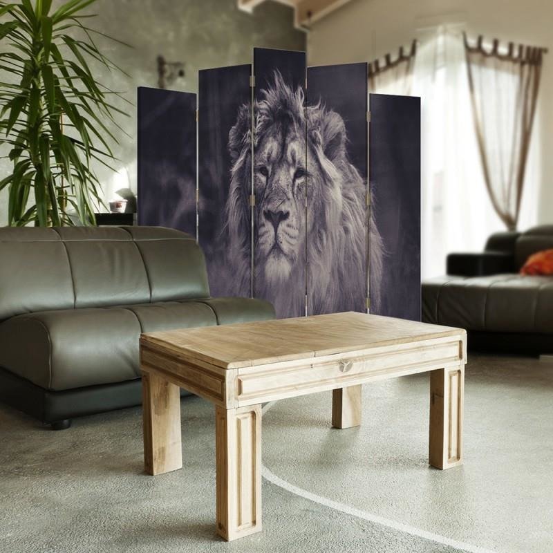 Decorative Aizslietnis, 5 paneļi, Divpusējs, 360 ° rotējošas eņģes, kanva, Old Lion 1 