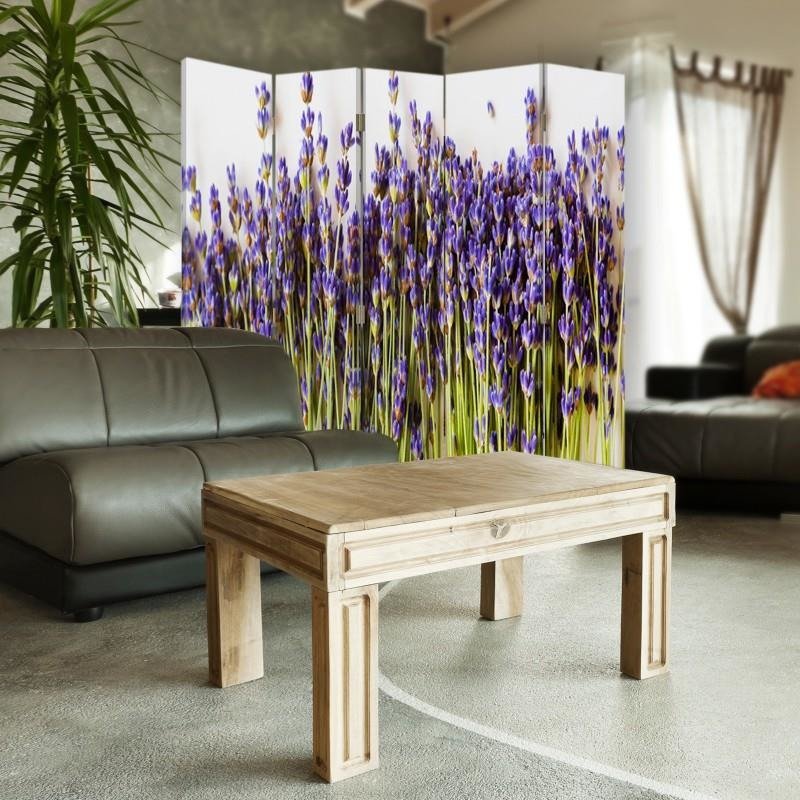 Aizslietnis, 5 paneļi, kanva, Lavender Kepka 