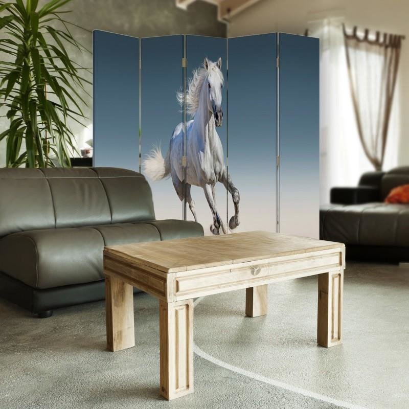 Aizslietnis, 5 paneļi, kanva, Horse On Sand 