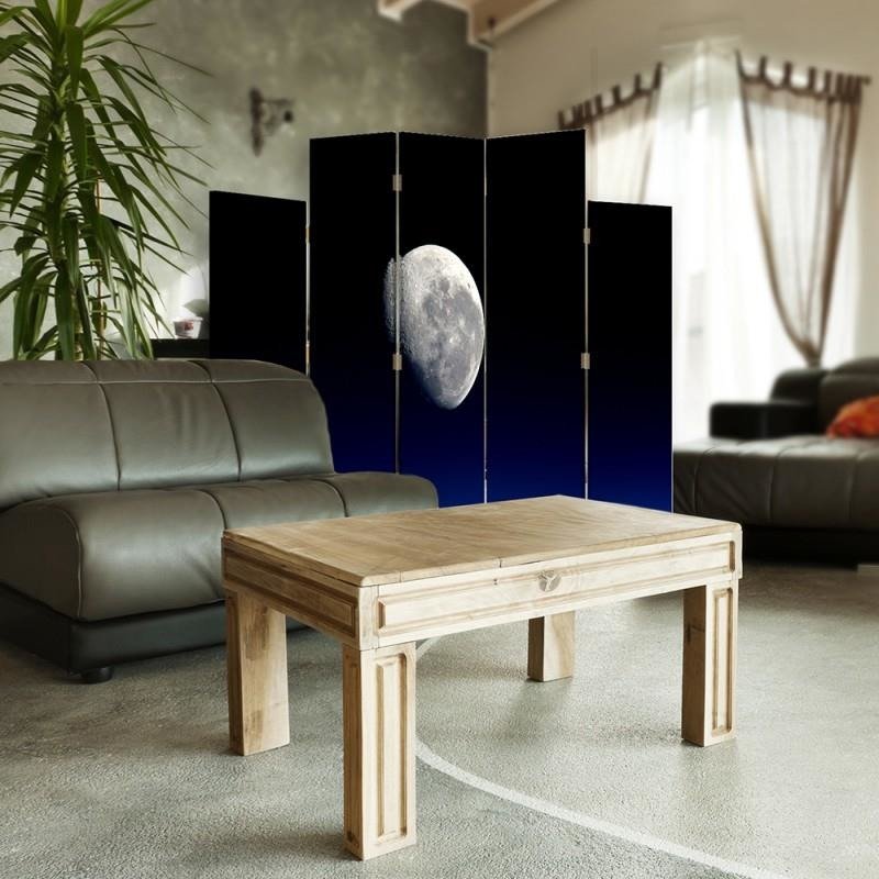 Decorative Aizslietnis, 5 paneļi, kanva, Moon 