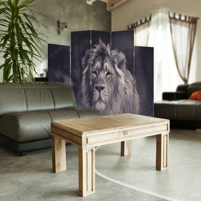 Decorative Aizslietnis, 5 paneļi, kanva, Old Lion 1 